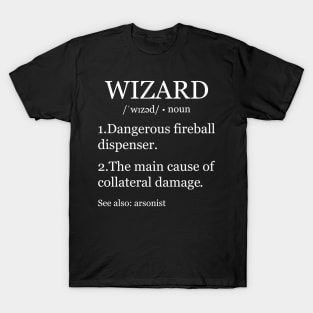 Sarcastic Wizard Definition T-Shirt